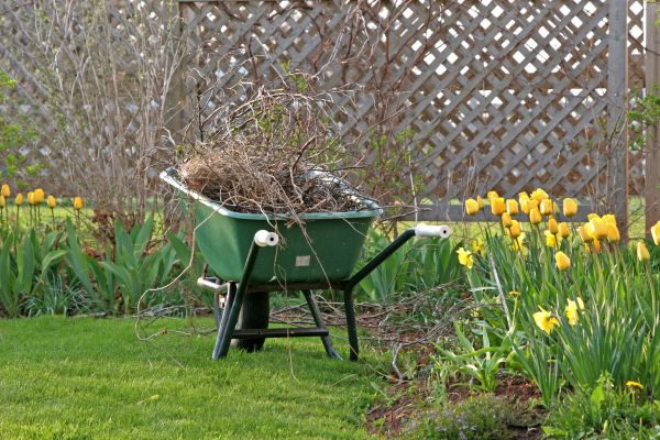 Flower Bed Cleanup Service in North Fort Myers