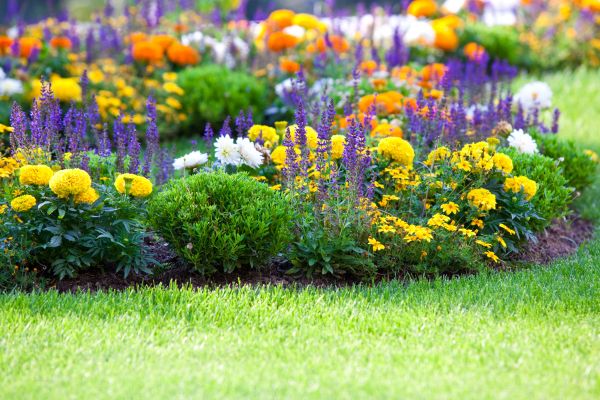 Flower Bed Maintenance in North Fort Myers