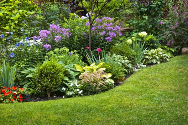 Flower Bed Service in North Fort Myers