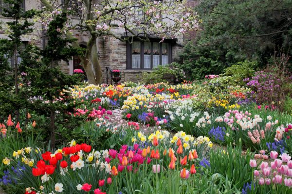 Garden Maintenance Service in North Fort Myers