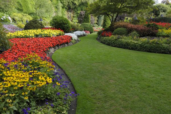 Landscaping Maintenance in North Fort Myers