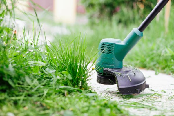 Lawn Edging Service