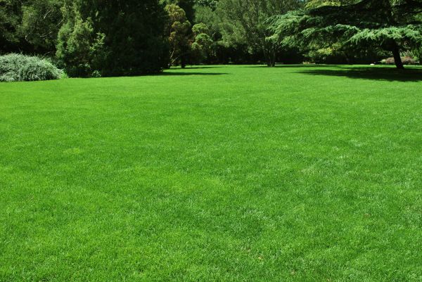 Lawn Landscaping in North Fort Myers