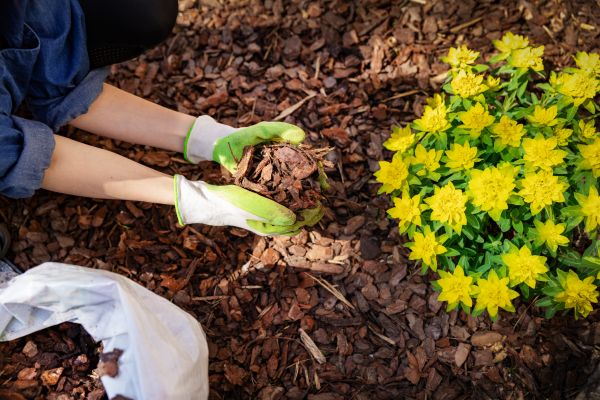 Garden Mulching in North Fort Myers