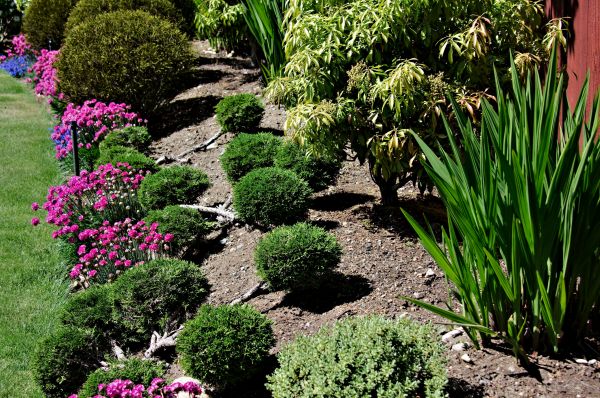 Residential Gardening in North Fort Myers
