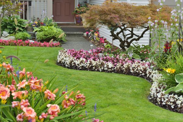Perennial Landscaping in North Fort Myers
