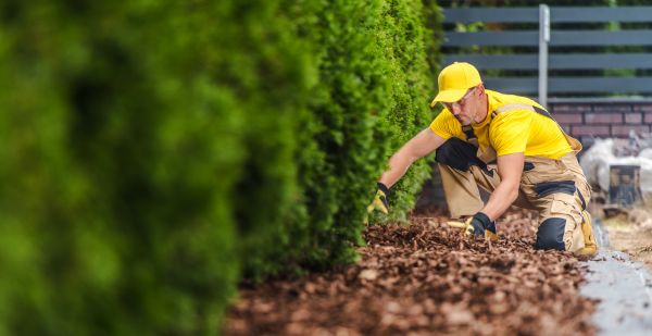 Cypress Mulch Installation in North Fort Myers