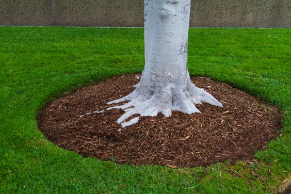 Brown Mulch Installation in North Fort Myers