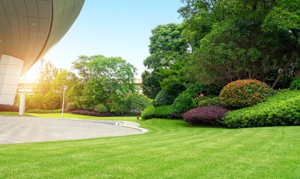 Business Landscape Design in North Fort Myers