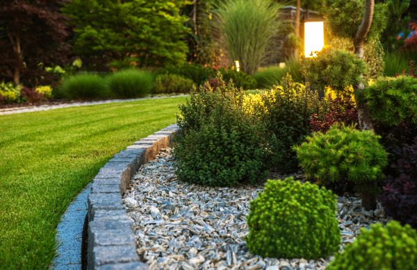 Landscaping Service in North Fort Myers