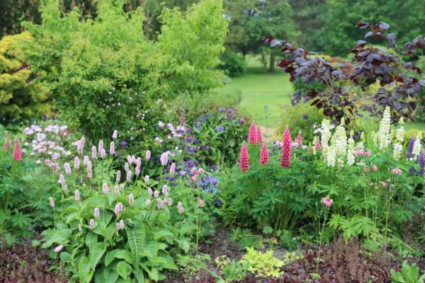 Flower Bed Planting in North Fort Myers