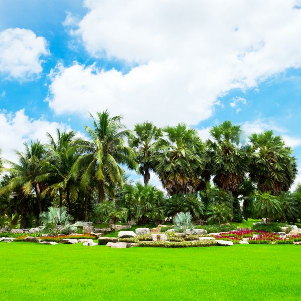 Tropical Landscaping in North Fort Myers