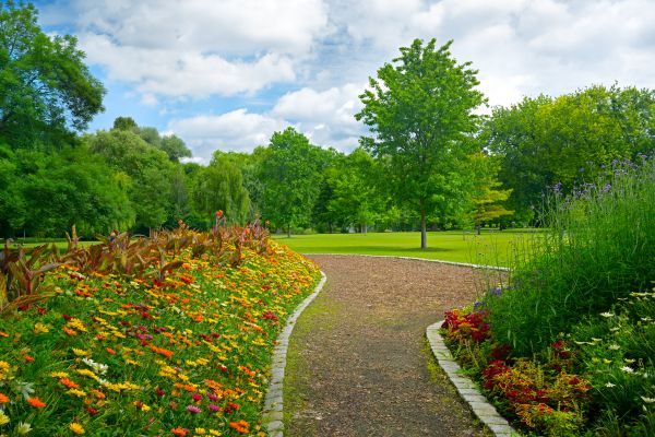 Park Landscaping in North Fort Myers