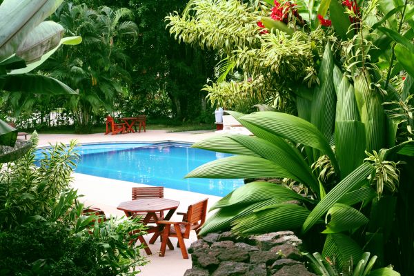 Tropical Garden Landscaping in North Fort Myers