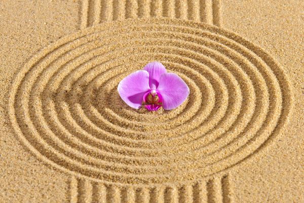 Sand Garden Landscaping in North Fort Myers