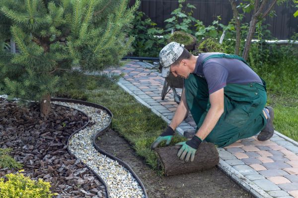 Landscaping Modification in North Fort Myers
