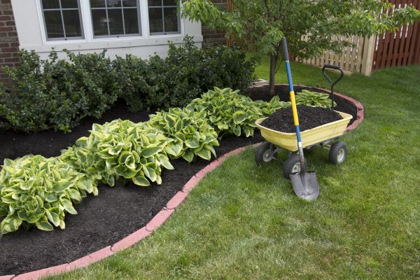 Landscape Mulching in North Fort Myers
