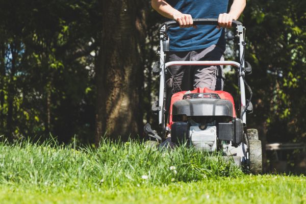 Garden Trimming Service in North Fort Myers