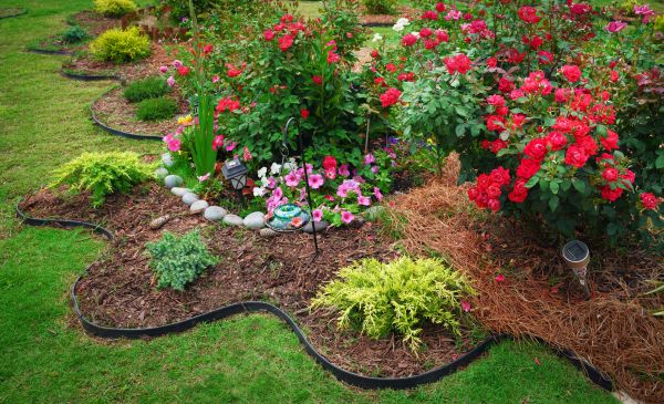 Floral Landscaping in North Fort Myers
