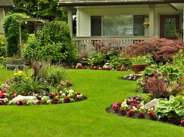 Flower Garden Planting in North Fort Myers
