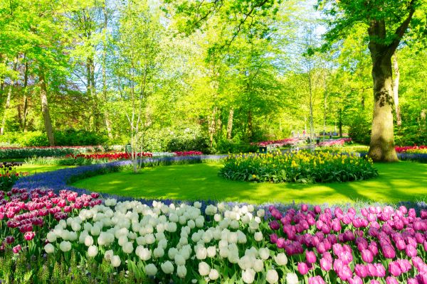 Flower Landscaping in North Fort Myers