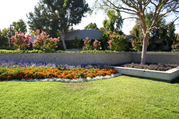 Commercial Landscape Service in North Fort Myers
