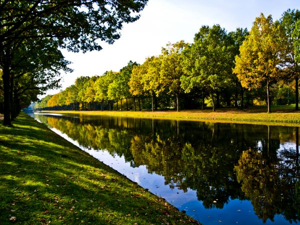 Bank Landscaping in North Fort Myers