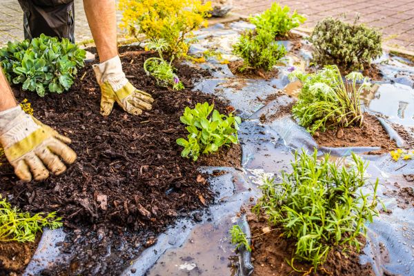 Mulch Fabric Installation in North Fort Myers