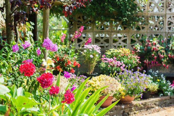 Spring Garden Maintenance in North Fort Myers