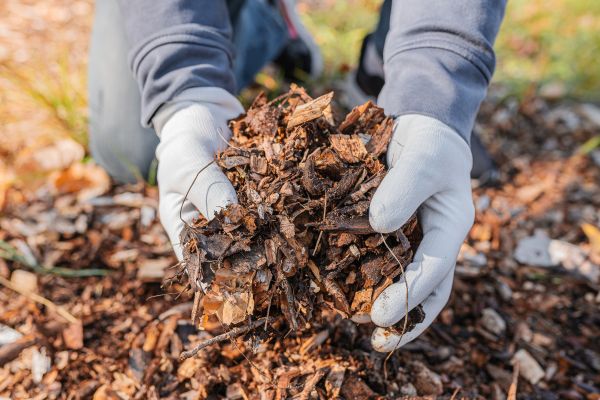 Shredded Mulch Installation in North Fort Myers