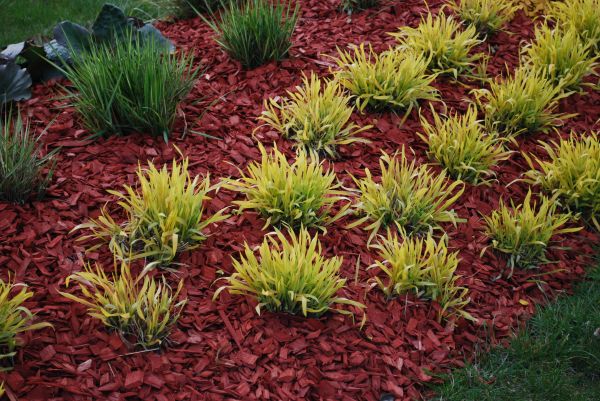 Red Mulch Installation in North Fort Myers