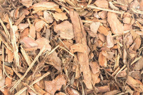 Bark Mulch Installation in North Fort Myers