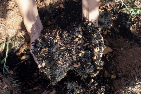 Organic Mulch Installation in North Fort Myers