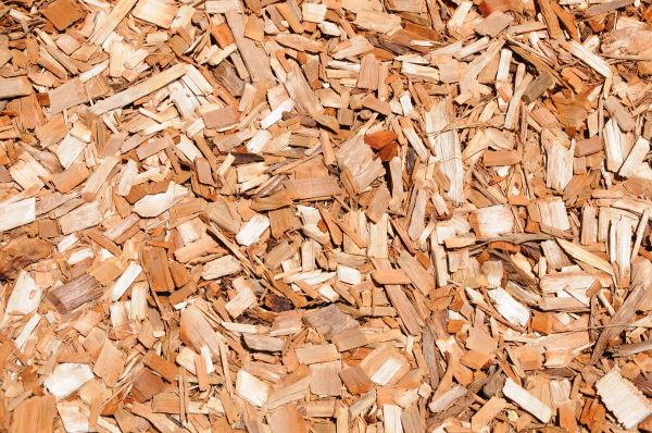 Cypress Mulch Spreading in North Fort Myers