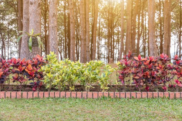Small Garden Landscaping in North Fort Myers