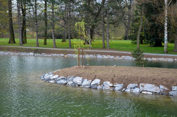 Pond Landscaping Service in North Fort Myers