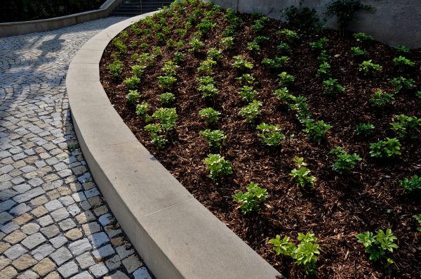 Commercial Mulching in North Fort Myers