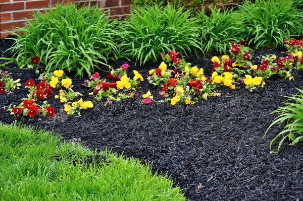 Apartment Mulching in North Fort Myers